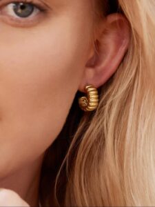 Charlotte Bold Hoops