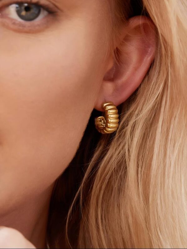 Charlotte Bold Hoops